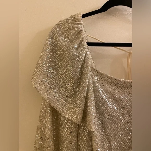 NWOT Free People Silver Sequin Flowy Tie Back Crop Top Size XS - Picture 5 of 9